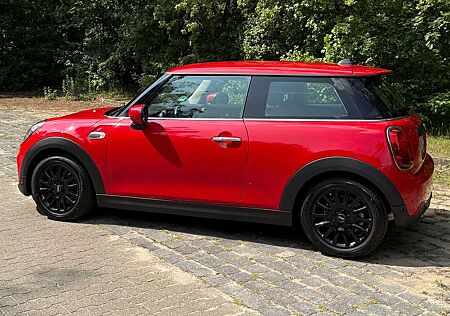 Mini ONE Aut. 60 Years Chili