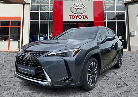Lexus UX 250h Style Edition CloudNavi*KAM*DAB*SHZ