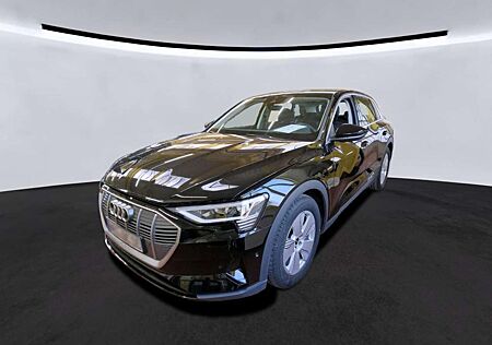 Audi e-tron 55 QUATTRO 19Z./AIR-SUS/DAB/APS+/AHK/VC