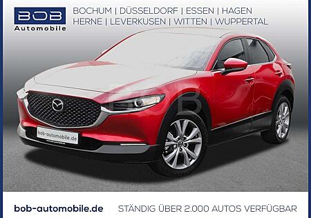 Mazda CX-30 2.0 M-Hybr. Selection NAVI SHZ HUD PDC