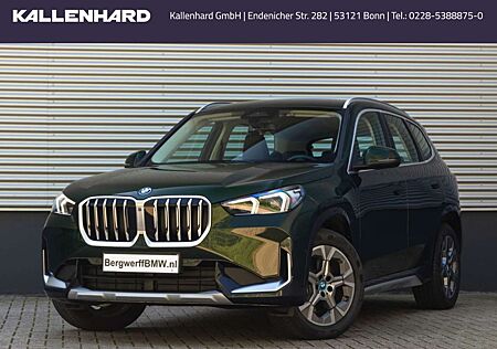 BMW X1 25 e xDrive xLine-Sportsitze-Kamera-Spiegelpaket