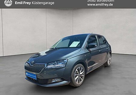 Skoda Fabia 1.0 TSI Clever ACC Klima RFK Sitzheizung