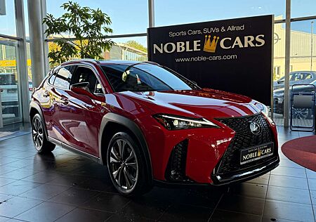 Lexus Others 300 h F Sport Design LED NAV ACC RFK SHZ