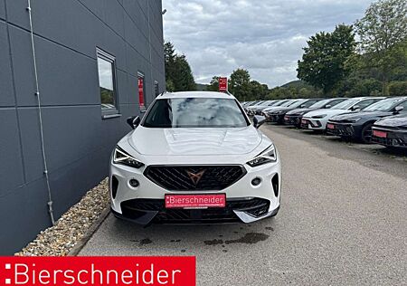 Cupra Formentor 2.0 TSI DSG 4DRIVE VZ KAMERA NAVI