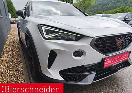 Cupra Formentor 2.0 TSI DSG 4DRIVE VZ KAMERA NAVI