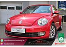 VW Beetle Volkswagen Design Sehr gepflegtes Fahrzeug