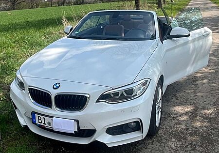 BMW 218i 218 Cabrio M Sport / HU Neu / Navi