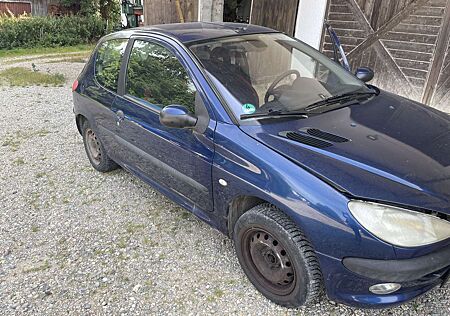 Peugeot 206 75 Grand Filou Cool