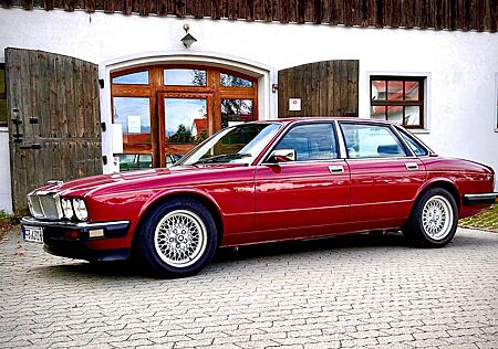 Jaguar XJ40 Oldtimer