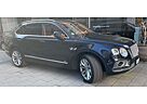 Bentley Bentayga - FIRST EDITION - W12