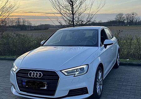 Audi A3 basis