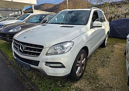 Mercedes-Benz ML 250 CDI BlueTec (166.004)
