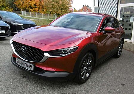 Mazda CX-30 Selection 2WD 360°Kamera Matrix LED Navi