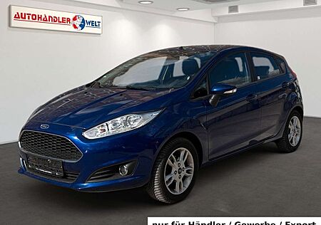 Ford Fiesta 1.0 T 5-trg. Klima PDC SHZ FSHz