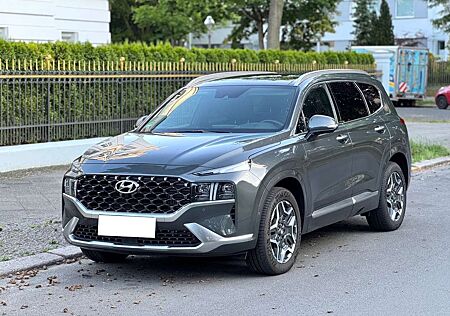 Hyundai Santa Fe Signature 7-Sitzer 4WD Vollausstattung