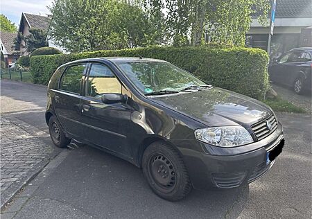 Fiat Punto 1.2