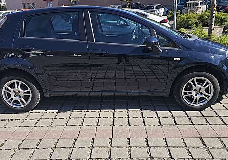 Fiat Punto More