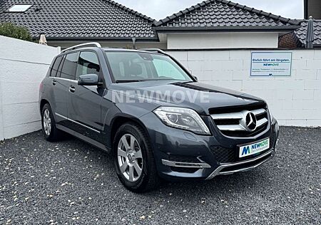 Mercedes-Benz GLK 220 CDI BlueEfficiency Auto Tempo. Xenon AHK