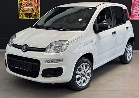 Fiat Panda Easy*Twinair Natural Power Easy*Benzin/GAS*1.Hand*