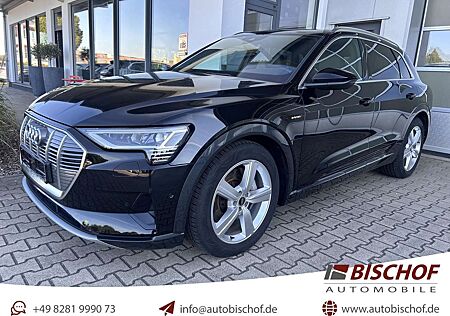 Audi e-tron 55 qu advanced T-Leder Kamera CarPlay 20Z