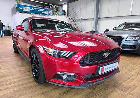 Ford Mustang Basis Convertible 1 Hand