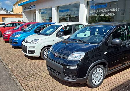 Fiat Panda Pandina 1.0 GSE Hybrid "FARBAUSWAHL"