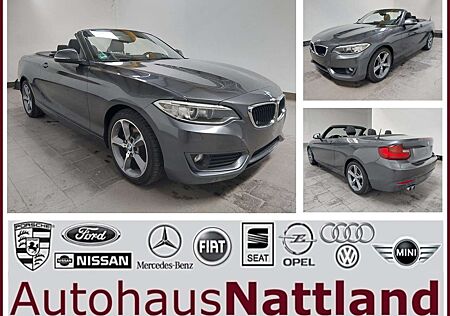 BMW 220d 220 Advantage Autom. PDC Navi Xenon Sitzh.