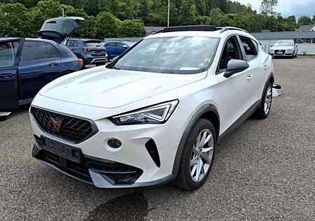 Cupra Formentor 2.0 TDI DSG 4D*STANDH*AHK*R-CAM*PANO*