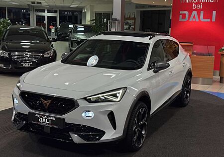 Cupra Formentor 2,0 TSI 4Drive-KAMERA-CARPLAY-SHZ-LED
