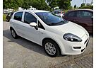 Fiat Punto Easy 1.4 8V 5-Türer Klimaautom.-Alu-NSW-PDC