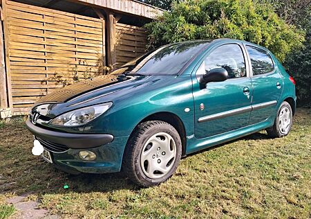 Peugeot 206 75 Roland Garros