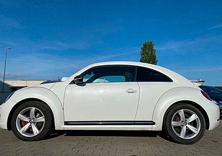 VW Beetle Volkswagen Lim. Sport|Sound|Oriyxeeiß Metalic|Selten