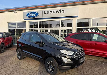 Ford EcoSport Cool & Connect Winterpaket RFK