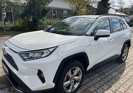 Toyota RAV 4 2.5 Hybrid Team D *Technik Paket *AHK