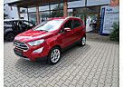 Ford EcoSport Sitz-u. Lenkradheitzung, Seiten-Sch. dun