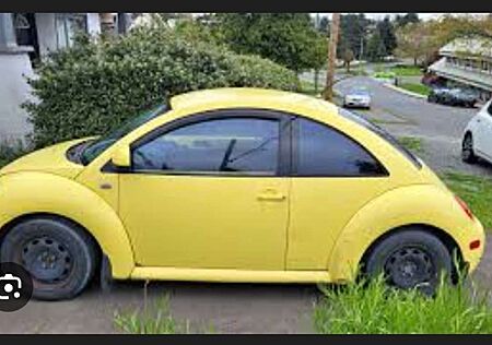 VW Beetle Volkswagen