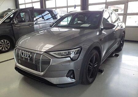 Audi e-tron 55 qu. ACC Luft Pano LED AHK Standkl.