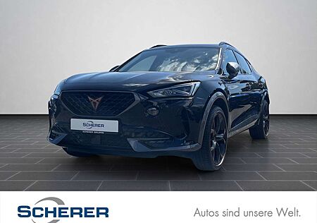 Cupra Formentor VZ 2.0 TSI DSG Navi, Pano, AHK, Winter