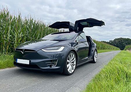 Tesla Model X 100D 22 Zoll AP2.5 AHK 8 Fach
