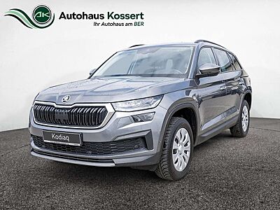 Skoda Kodiaq 2.0 TDI Tour SHZ NAVI ACC STANDHZ LED