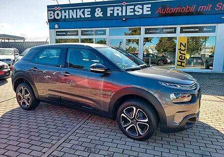 Citroen C4 Cactus Feel DAB Klima Sitzheizung PDC