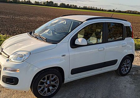 Fiat Panda "Lounge" EZ 2020, Wi-Paket, So + Wi-Reifen