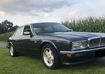 Jaguar XJ40