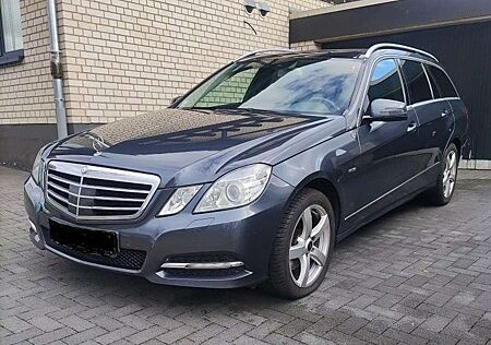 Mercedes-Benz E 250 gebraucht kaufen Mercedes-Benz E 250 Allrad+Standhzg+XEN+PDC+LEDER+AHK+7G-TRONIC