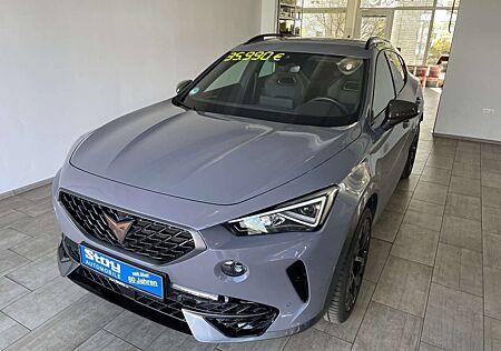 Cupra Formentor VZ AHK 19 Copper 5J. E.Klappe Winterräder