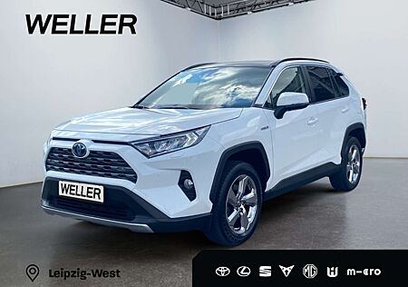 Toyota RAV 4 2.5 Hybrid Team D 4x2 *Pano*LED*CarPlay*