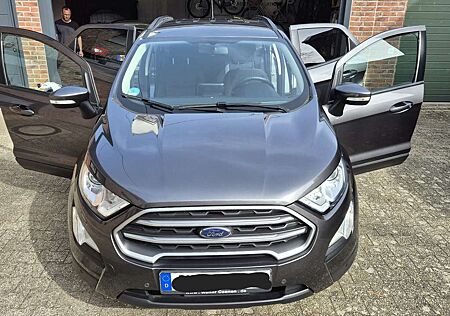 Ford EcoSport EcoBoost C&C 125PS-1.Hand-TÜV neu-8 fach bereift