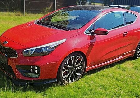 Kia Pro_ceed ProCeed / pro_cee'd GT-Track,Navi,Pano,SD,Sport
