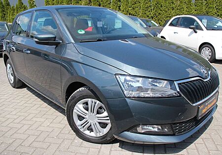 Skoda Fabia Ambition Klima/CarPlay/Android/PDC/Tempoma