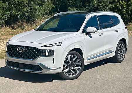 Hyundai Santa Fe 2.2 CRDi Signature *Pano*Standhzg*AHK*